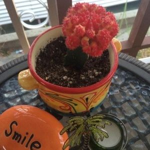 Meet your Posher, Lynn